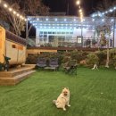 스테이 태정93 이미지