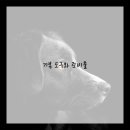기초유화 네이버블로그