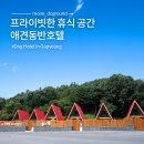 무아레도그라운드 이미지