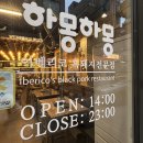 역삼 고기 맛집 / 하몽하몽 이베리코 역삼점 이베리코 돼지고기 솔직 후기