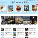 배부리 | 배부리 웨딩 블로그 챌린지 솔직후기 (고민하는 사람 필독)