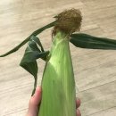 더초당 이미지