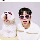 영웅시대PC | ✨ 2025 임영웅 콘서트 소식, 영웅시대라면 필독! 티켓팅 성공 꿀팁! ✨