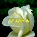 건강하세요