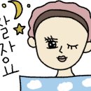레인바우애견카페 이미지