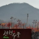전원숯불 시지점 이미지