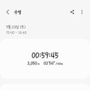 피크엔드 이미지