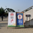 2025맥도날드해피워크참가후기