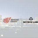 스카이게임 이미지