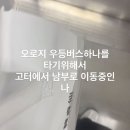 뽀빠이카 | [역대급] 게으른 여름