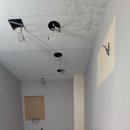 옥천동물병원 이미지