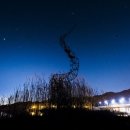 용의꼬리 이미지