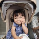 비트 성균관대학교 서울캠퍼스 | 혜화 공연 추천 ❤️ 뮤지컬 '숲속 100층짜리 집' 후기｜성균관대학교 600주년기념관 새천년홀에 다다네가...