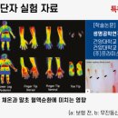 슈올즈 해운대점 네이버블로그