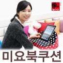 미요코리아 이미지