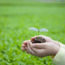 생명의 시작 이미지