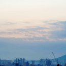팔용고기 이미지