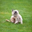 마스터 동물의료센터 이미지