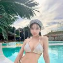 맥심