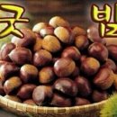굿밤 Daum카페