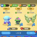 나나비펫 이미지