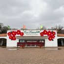 송이테마공원 주차장 | 제주동쪽 아기랑 가볼 만한 곳 '에코랜드테마파크' 겨울 방문 후기( 기차, 소요시간, 동백꽃 포토존...