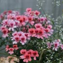 민 행정사 이미지