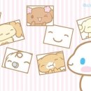 롤로 이미지