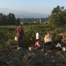 옥식농장 이미지