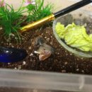 명주농장 이미지