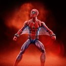 뉴커밍