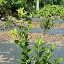 추곡초등학교 이미지