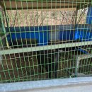 토끼게임장 | 2026.2.15 양주 눈꽃축제 눈썰매장 방문 후기