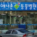 애니존 동물병원 이미지