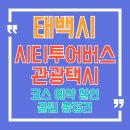 통리장 코스 | 태백시티투어버스 예약 요금 코스부터 태백관광택시까지 완벽이용 가이드!