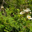 관음사 옆 화장실 이미지