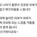 세이 이미지