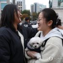 몽글몽글 이미지