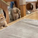 희석목장 이미지