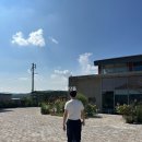 여름빌라 | 경주 숙소 * 호헤 경주 풀빌라, 여름휴가 보내기 좋았던 감성 숙소 내돈내산 후기