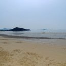 지니비치향 이미지