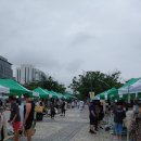 녹색자원 | 자원순환 2025 녹색 나눔장터 후기! (벌써 20주년이라니!)