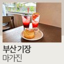 마가진(Magasin) 이미지