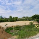 다미안의원 이미지