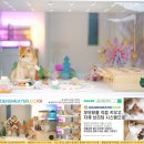 골드 캐터리 | 브리티시골드 NY25 우리집 활력소