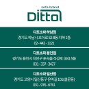 디자인디토 이미지