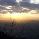 대곶초등학교 이미지