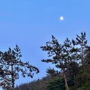 라벤더민박 이미지