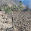 진혁농장 이미지