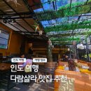 아시안키친 | 북인도여행후기 다람살라 맛집 맥그로드간즈 맥레오드간즈 지미스 아시안 키친